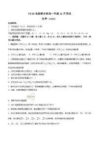 河北省邯郸市NT20名校联合体2023-2024学年高一上学期12月月考化学试题