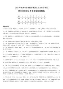 2024年湖北新高考协作体高三下学期2月大联考化学试题及答案