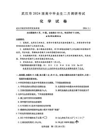 湖北省武汉市2023-2024学年高三年级下学期二月调研考试化学试题及答案