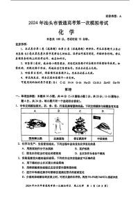 广东省汕头市2024届高三第一次模拟考试化学试卷及答案