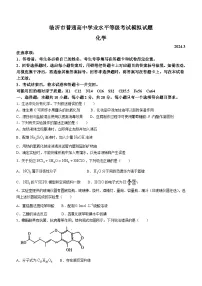 2024届山东省临沂市高三一模考试 化学试题