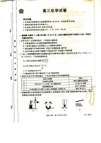 2023-2024学年新疆金太阳254C高三上学期期末化学试题及答案