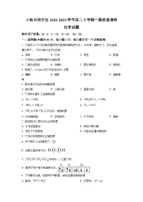 2023年上海市闵行区高三上学期高考&等级考一模质量调研化学试卷含详解