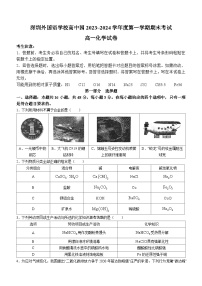 34，广东省深圳外国语学校高中园2023-2024学年高一上学期期末考试 化学试卷()