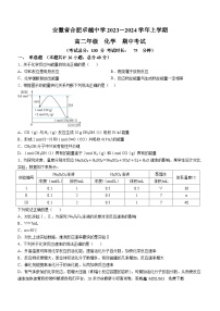 93，安徽省合肥卓越中学2023-2024学年高二上学期期中考试化学试题