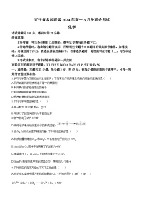 辽宁省名校联盟2023-2024学年高一下学期3月联合考试化学试题(无答案)