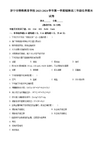 山东省济宁市特殊教育学校2023-2024学年高三上学期期末化学试卷（原卷版+解析版）