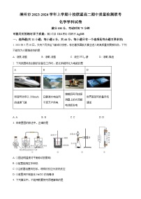 福建省漳州市十校联盟 2023-2024 学年高二上学期期中质量检测联考化学 试卷（原卷版+解析版）