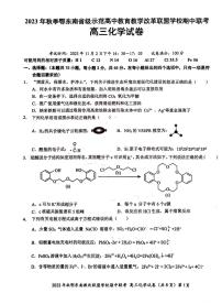 湖北术东南2023_2024高三化学上学期期中联考试题pdf