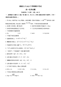 湖南省常德市桃源县第九中学2023-2024学年高一上学期11月期中化学试题（原卷版+解析版）