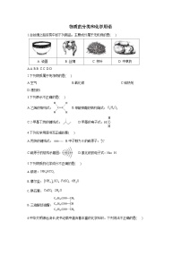 2024届新高考二轮复习 物质的分类和化学用语 专题卷（全国通用） (1)