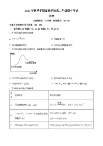 广东省深圳市富源学校2023-2024学年高二上学期11月期中化学试题（原卷版+解析版）