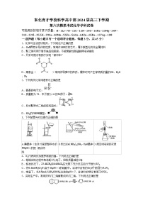 辽宁省沈阳市东北育才学校2023-2024学年高三下学期第六次模拟考试化学试卷(无答案)