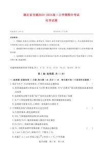 湖北省宜城2023_2024高三化学上学期期中联考试题