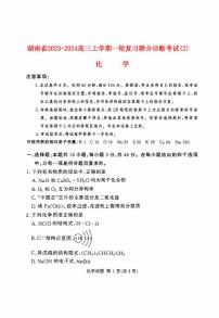 湖南省2023_2024高三化学上学期11月一轮复习诊断检测试题2