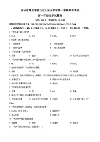 浙江省金华市曙光学校2023-2024学年高一上学期11月期中化学试题（原卷版+解析版）