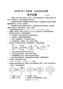 2024届青岛高三下学期一模化学试题+答案
