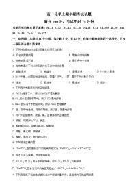 四川省眉山市东坡区部分学校2023-2024学年高一上学期11月期中联考化学试题（原卷版+解析版）