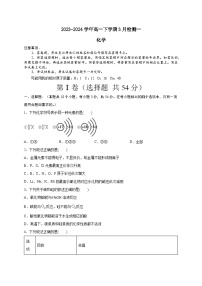 河南省安阳市林州市第一中学2023-2024学年高一下学期3月月考化学试题