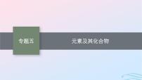 新高考新教材广西专版2024届高考化学二轮总复习专题5元素及其化合物课件