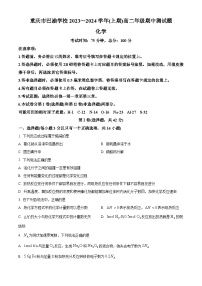 重庆市巴渝学校2023-2024学年高二上学期期中（半期）考试化学试题（原卷版+解析版）