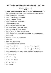 天津市实验中学滨海学校2023-2024学年高一上学期期中质量调查化学试题（原卷版+解析版）