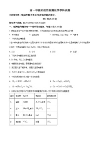 天津市九十六中学2023-2024学年高一上学期期中考试化学试卷（原卷版+解析版）