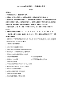 安徽省芜湖市无为市华星学校2023-2024学年高一上学期11月期中考试化学试题（原卷版+解析版）