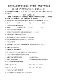 广东省惠州市光正实验学校2023-2024学年高一上学期期中考试化学试卷（原卷版+解析版）