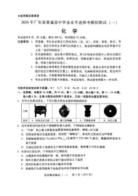 2024年广东高三下学期一模【化学】试题+答案