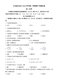 浙江省温州市万全综合高中2023-2024学年高一上学期期中检测化学试题 （原卷版+解析版）