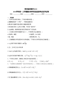 贵州省安顺市2023-2024学年高一上学期期末教学质量监测考试化学试卷(含答案)
