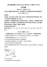 四川省绵阳南山中学2023-2024学年高二（上）10月月考 化学