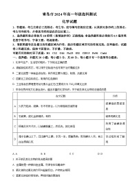 山东省青岛市2023-2024学年高一上学期期末统考化学试卷 （原卷版+解析版）