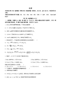 甘肃省张掖市某校2023-2024学年高三下学期模拟考试化学试题