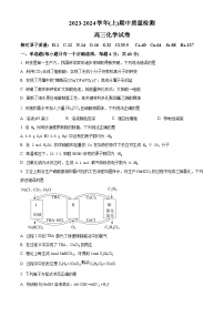 福建省漳州市十校联盟2023-2024 学年高三上学期期中质量检测联考化学试卷（Word版附解析）