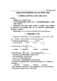 上海宝山区世外中学普高部2023-2024学年高二下学期3月评估化学试题