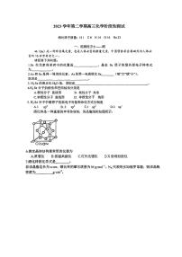 上海市2023-2024学年高三下学期阶段性测试化学试题