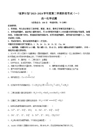 河南省驻马店市2023-2024学年高一下学期3月月考化学试题