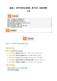 题型03离子方程式正误判断离子共存、检验和推断-2024年高考化学二轮题型归纳与变式演练（新高考）