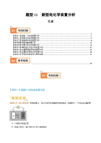 题型11新型电化学装置分析-2024年高考化学二轮题型归纳与变式演练（新高考）