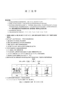 2024届九师联盟高三下学期质量检测巩固卷 化学试题