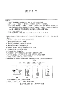 2024年九师联盟高三下学期3月月考测试化学试题及答案