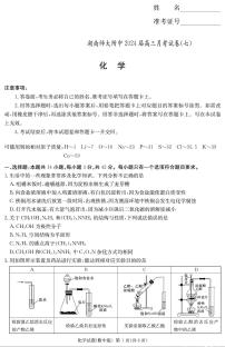 湖南省师范大学附属中学2023-2024学年高三下学期+月考化学试卷