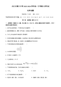 四川省内江市第六中学2023-2024学年高一下学期入学考试化学试题（含答案）