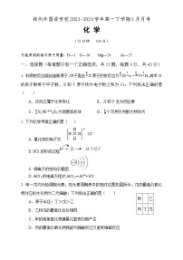 河南省郑州外国语学校2023-2024学年高一下学期3月月考化学试题（含答案）