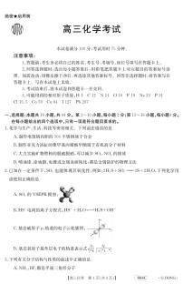 2023年广东金太阳804c高三上学期11月化学试题及答案