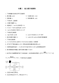 专题二  能力提升检测卷 - 2024年高考化学大一轮复习【精讲精练】