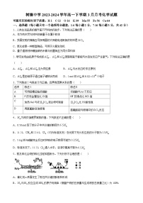 四川省成都市树德中学2023-2024学年高一下学期3月月考化学试题（含答案）