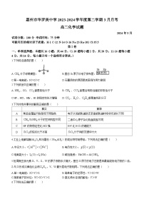 广东省惠州市华罗庚中学2023-2024学年高二下学期3月月考化学试题